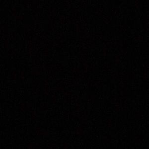 Meet your Posher, Fiona